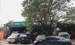 Người dùng tấp nập đưa ô tô đi bảo dưỡng dịp cận Tết