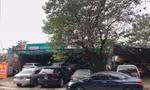 Người dùng tấp nập đưa ô tô đi bảo dưỡng dịp cận Tết