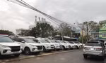 Dịch vụ thuê xe có lái giữ giá dịp Tết dương lịch