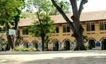 Xôn xao thông tin trường học ở TPHCM đòi đốn hạ 12 'cụ cây' hơn 100 tuổi