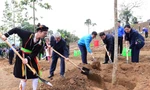Trung ương Đoàn phát động Tết trồng cây và thi đua chào mừng Đại hội Đảng các cấp