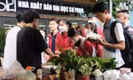 Giới trẻ Hà Nội nhận rác, tặng cây