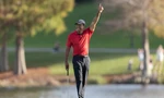 Tiger Woods tái xuất sau 8 tháng dưỡng thương