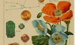 Lắng nghe thông điệp từ vũ trụ, khám phá biểu tượng thú vị về các chòm sao