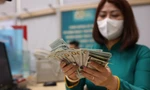 Lãi suất huy động có thể giảm về 7%/năm
