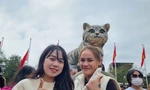 Mồng 5 tết, 'hoa hậu mèo' Quảng Trị vẫn hút đông người tới chụp hình