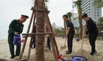 Trồng thêm hàng trăm cây dừa, biển Đà Nẵng ngát xanh
