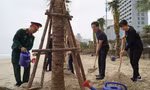 Trồng thêm hàng trăm cây dừa, biển Đà Nẵng ngát xanh