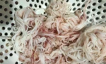 Bún tươi đổi màu lạ tại Đà Nẵng: Cơ sở sản xuất bị đình chỉ khẩn cấp