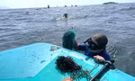 Hàng ngàn bạn trẻ nhặt rác, lặn biển giải cứu san hô Sơn Trà