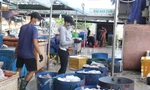 20 người buôn bán trong cảng cá Thọ Quang dương tính với SARS-CoV-2