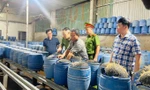 Khởi tố ba đối tượng sản xuất hàng trăm tấn giá đỗ độc hại tại Lào Cai