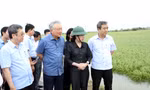 Phó Thủ tướng Nguyễn Hòa Bình kiểm tra công tác khắc phục hậu quả bão số 3 tại Thái Thụy, Thái Bình