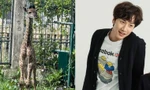 Góc đặt tên hươu cao cổ: Netizen "triệu hồi" Lee Kwang Soo, Thơm (Da LAB) cũng góp vui