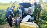 Tạm giam 2 đối tượng chở gần 700kg pháo nổ từ biên giới về Lâm Đồng