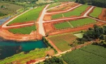 Lâm Đồng xử lý chiêu trò núp bóng hiến đất làm đường để phân lô bán nền
