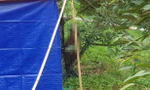 Xác định được danh tính người đàn ông tử vong trong tư thế treo cổ trên cây 