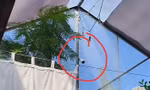 Bị ‘tố’ lắp camera trong phòng ngủ, một cơ sở lưu trú lên tiếng xin lỗi 