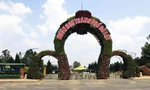 Vườn hoa Đà Lạt vắng tanh