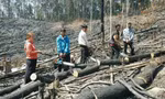 Người đàn bà thuê nhóm đối tượng phá rừng phòng hộ tại Lâm Đồng