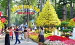 TPHCM tổ chức Hội Hoa xuân, Chợ hoa Tết Nhâm Dần năm 2022 ra sao?