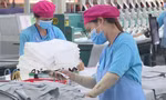 TPHCM kiến nghị cơ chế riêng để mở cửa kinh tế