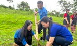 Tặng vườn ươm thanh niên với 15.000 cây giống cho gia đình trẻ miền núi