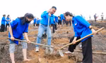 Giáo viên và học sinh trồng vạn cây xanh đầu năm mới