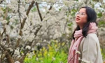 Mê mẩn với hoa mận trắng muốt trên cao nguyên Bắc Hà