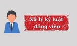 Ban Bí thư xem xét, thi hành kỷ luật đảng viên