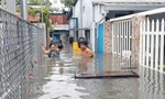 Hai kỷ lục trong trận mưa sáng 10/5 ở TPHCM