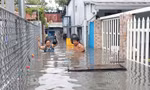 Hai kỷ lục trong trận mưa sáng 10/5 ở TPHCM