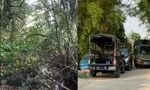 Cận cảnh nơi nghi phạm giết người, cướp của đang lẩn trốn ở Long An 