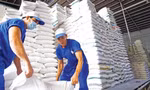 Lý do giá gạo xuất khẩu Việt Nam đột ngột giảm mạnh
