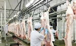 Giá lợn giảm xuống mức kỷ lục, đề xuất siết nhập khẩu thịt ngoại