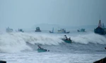 Bão Noru áp sát biển Đông, cấp tốc thông báo tàu thuyền thoát khỏi vùng nguy hiểm