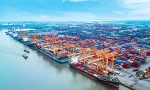 Kiến nghị miễn phí dịch vụ cảng biển cho hàng hóa tại Hải Phòng