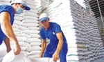 Giá gạo Việt tăng cao nhất trong vòng 2 năm