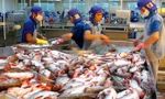 Tin vui cho thủy sản Việt: Hai doanh nghiệp được cấp phép xuất khẩu vào thị trường mới