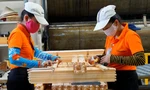 Tin vui cho ngành gỗ Việt Nam xuất khẩu sang Mỹ