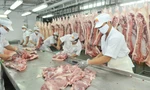 Thịt lợn tăng giá, cổ phiếu chăn nuôi 'đua trần'