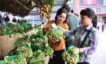 Hàng loạt trái cây Việt Nam sắp được xuất khẩu chính ngạch sang Mỹ, EU, Nhật, Hàn