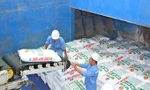 Xuất khẩu phân bón tăng kỷ lục đạt gần 213 triệu USD 