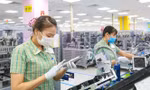 Xuất nhập khẩu bắt đầu khởi sắc