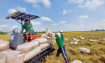 Thành lập Hiệp hội Ngành hàng lúa gạo Việt Nam
