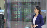 Cổ phiếu ‘vua’ trở lại, lo ngại rung lắc đã không xảy ra 
