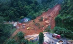 Vụ sạt lở đèo Bảo Lộc: Đất rừng trồng sầu riêng là không đúng quy định