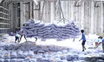 Philippines nhập khẩu gạo lớn nhất thế giới, 80% từ Việt Nam