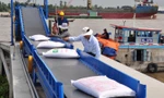 Không phải ăn may, lý do gạo Việt xuất khẩu cao nhất thế giới là gì?