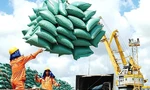 Xuất khẩu cà phê, gạo ‘trúng đậm’ vì giá cao 